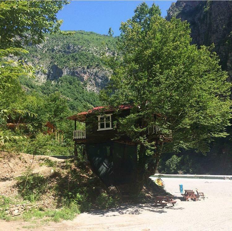 Park Blini Shala River Moll' e Shoshit Exterior photo